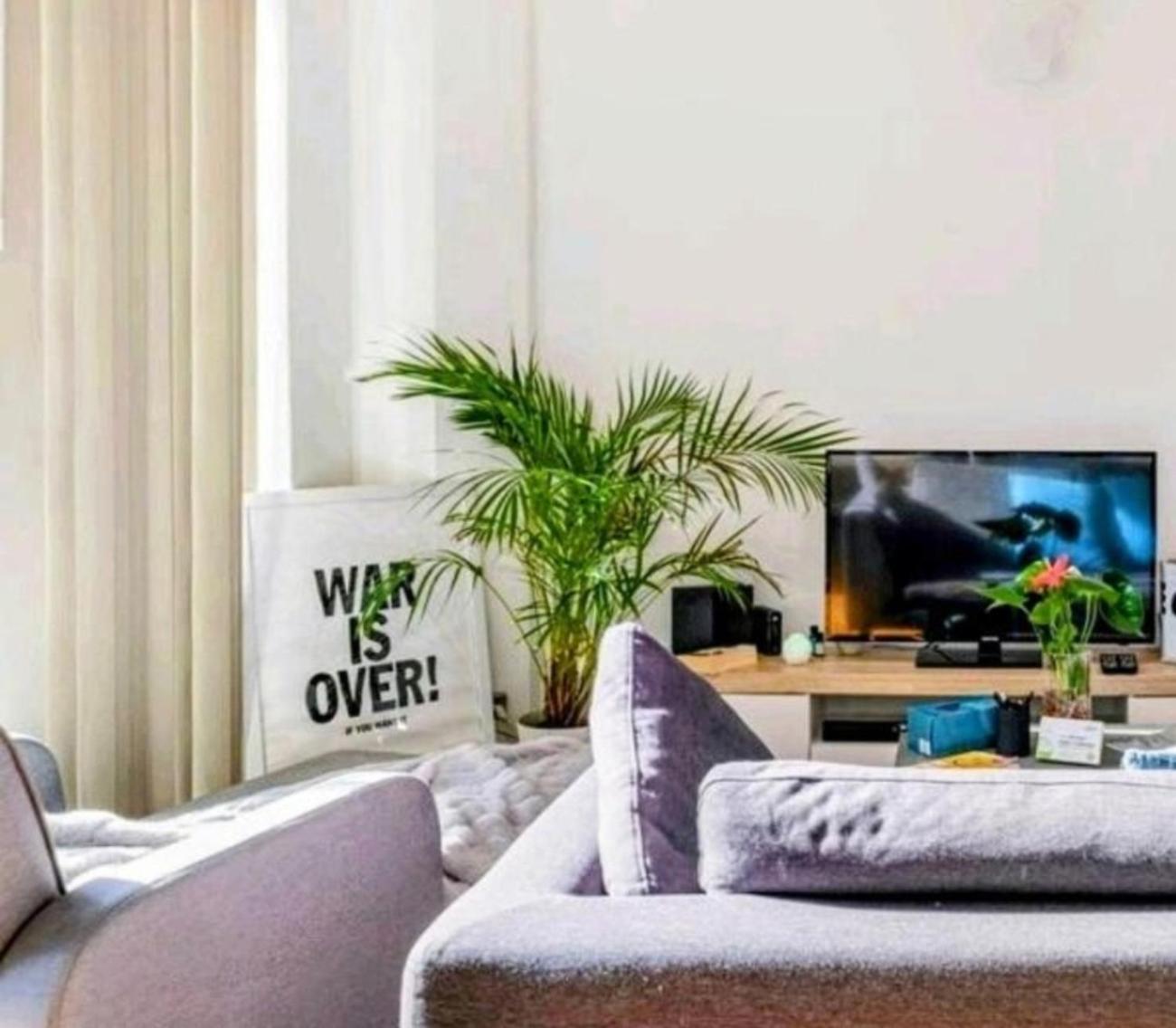 Apartment Crown